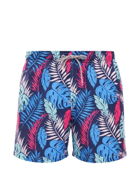 Boardies Palmtopia leaf-print swim shorts Blue BS811M