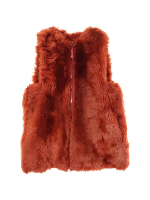Fendi Pre-Owned 2010s zip-up fur gilet Orange 1097394
