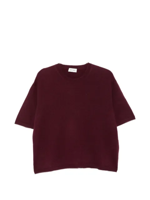 Soft Goat short-sleeve cashmere T-shirt Purple 2450112076