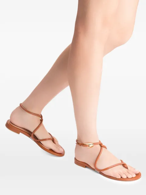 Gianvito Rossi Jungle Mamba flat sandals Brown G3255705RICNPY