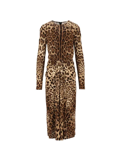Dolce & Gabbana leo-print viscose jersey dress Brown F615DT