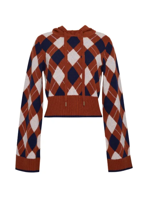 Cara Cara Oakley argyle-knit hoodie Brown 9688AKR