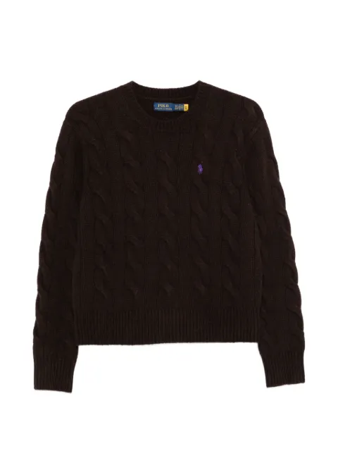 Polo Ralph Lauren cable-knit embroidered-logo sweater Brown 211A91216017