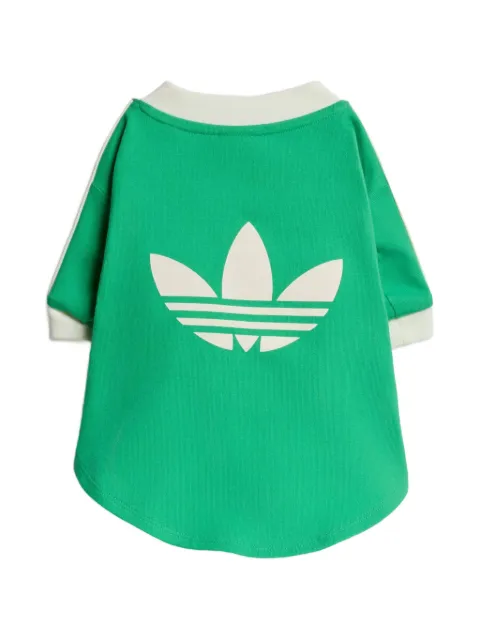 adidas T-shirt pet cali Green KY8730