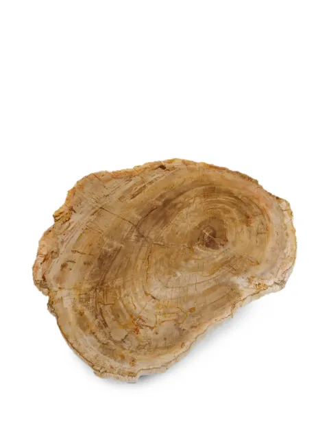 CU I SEEYOU petrified wood platter Brown CU90773