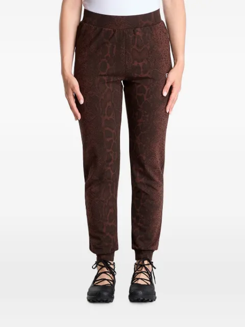Ea7 Emporio Armani snakeskin-print track pants Brown 7W001416AF26043