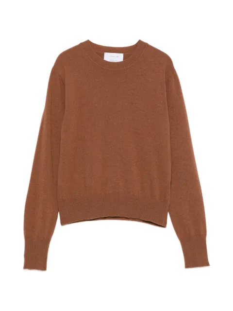 Daniele Fiesoli crew-neck sweater Brown DD7054