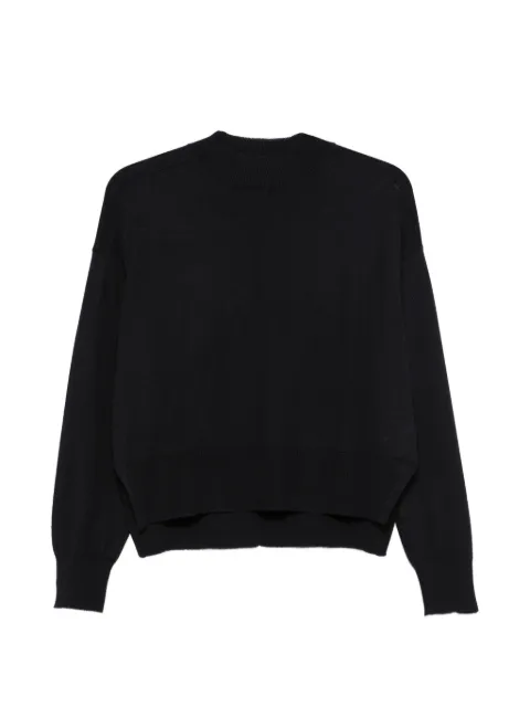 Daniele Fiesoli crew-neck merino sweater Black DD7011