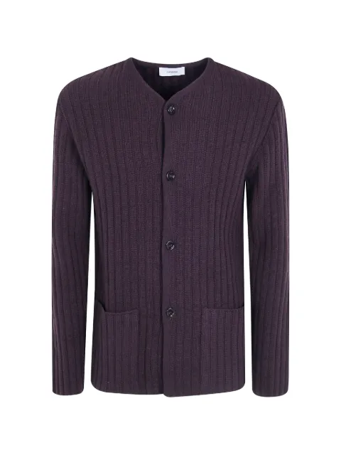 Lardini Le Origini ribbed-knit button-up cardigan Brown ACLMML465AC67017