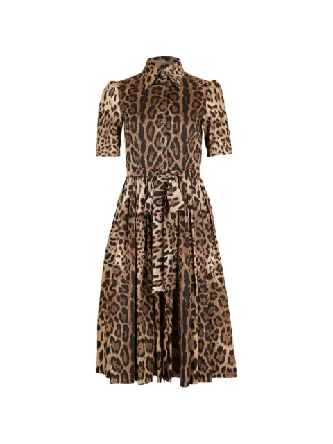 Dolce & Gabbana leo-print poplin shirt dress Brown F6AGMTHS5E3