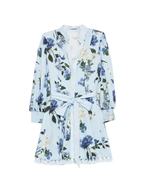 alice + olivia Lucy mini dress Blue CC606P74519