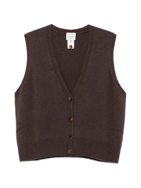 Alysi button-up V-neck vest Brown 266440A6043
