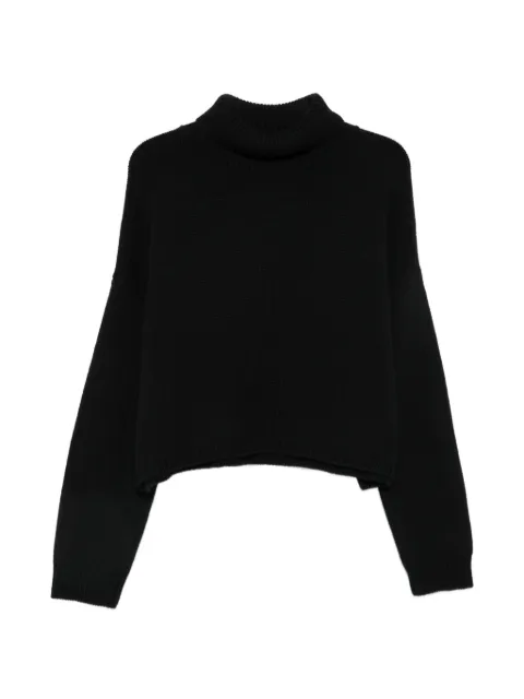 Lisa Yang cashmere turtleneck sweater Black 2026532