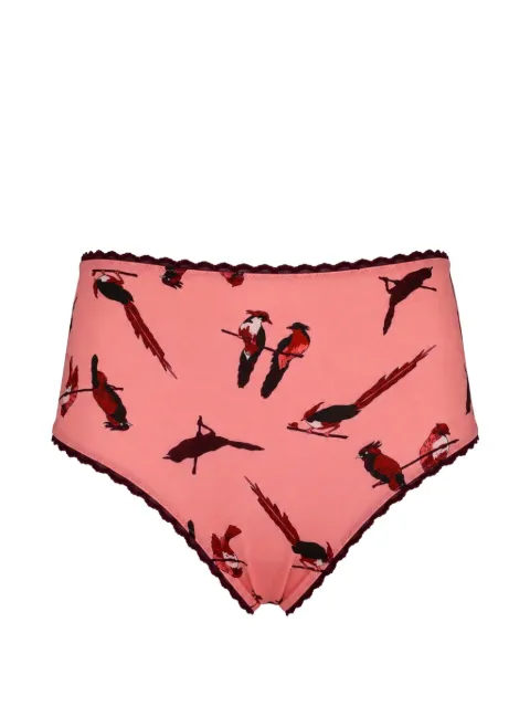 Laura Urbinati bird-print high-waisted briefs Pink E7S01MB
