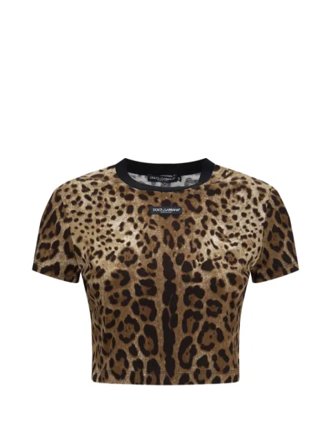 Dolce & Gabbana leopard-print T-shirt Brown F8W39TFS78S