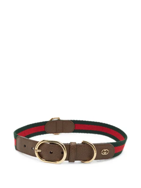 Gucci Pre-Owned Web Demetra-leather pet collar Brown 1378632