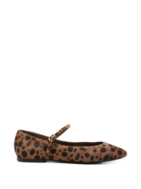 HERBERT LEVINE Rule The Day leopard-print buckle-strap ballet flats Brown HBWF128