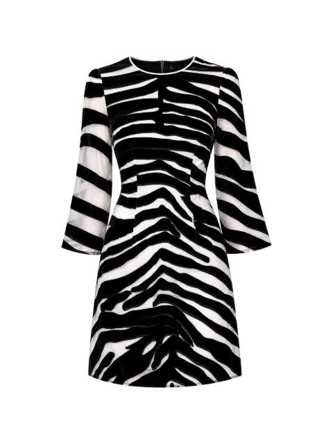 Dolce & Gabbana zebra-print A-line mini dress Black F6J1BT