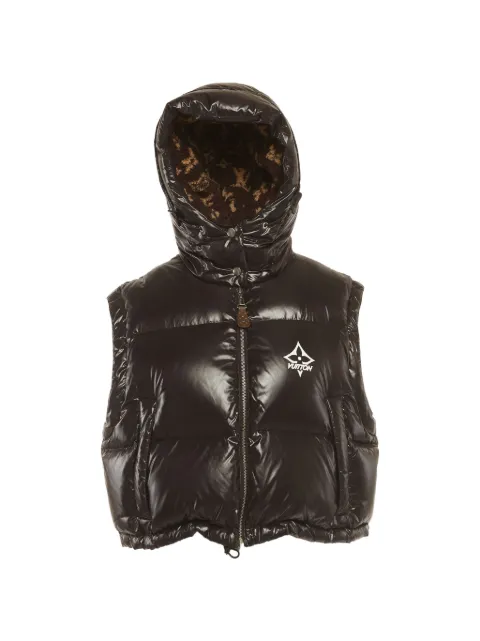 Louis Vuitton Pre-Owned padded hooded gilet Brown 1279272