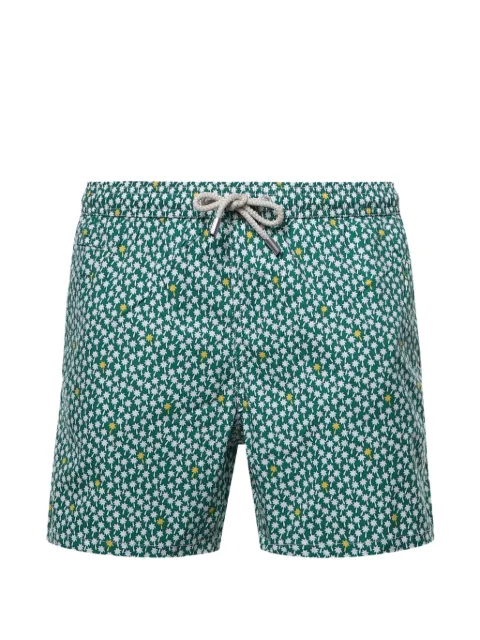 MC2 Saint Barth palm tree-print swim shorts Green LIG0016