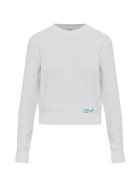 LOEWE embroidered-logo sweater Neutrals S359Y14KJ6