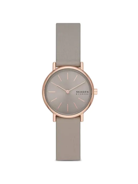 Skagen Signatur Lille 30mm watch Grey SKW3060