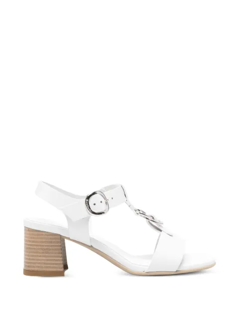 NERO GIARDINI buckle-fastening leather sandals White E615870D707