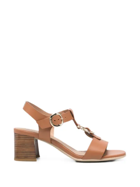 NERO GIARDINI buckle-fastening leather sandals Brown E615870D329