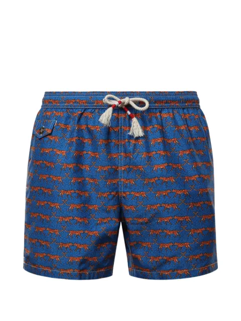 MC2 Saint Barth Lighting cat-print swim shorts Blue LIG0013