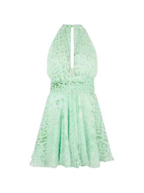 Roberto Cavalli leopard-print halterneck mini dress Green XQT176HNT23