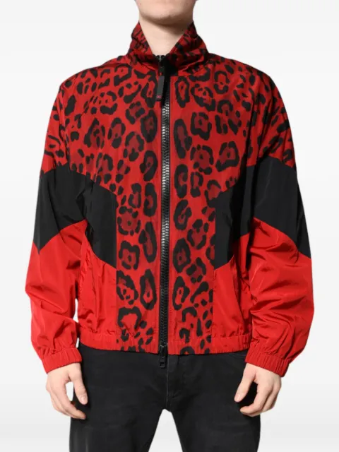 Dolce & Gabbana leopard-print bomber jacket Red G9WJ5T