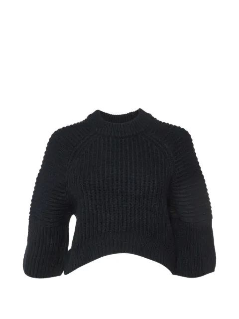 Balenciaga Pre-Owned ribbed-knit sweater Black 1073697