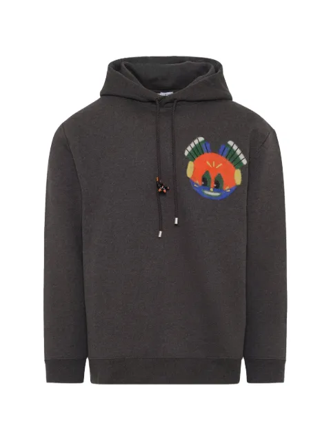 LOEWE Louis Wain hoodie Grey H526Y25J37