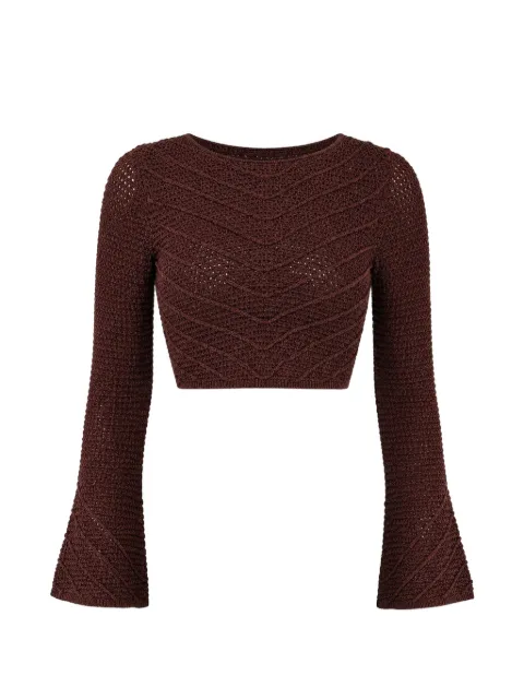 Devon Windsor Erin crochet-knit cropped top Brown RE26599T