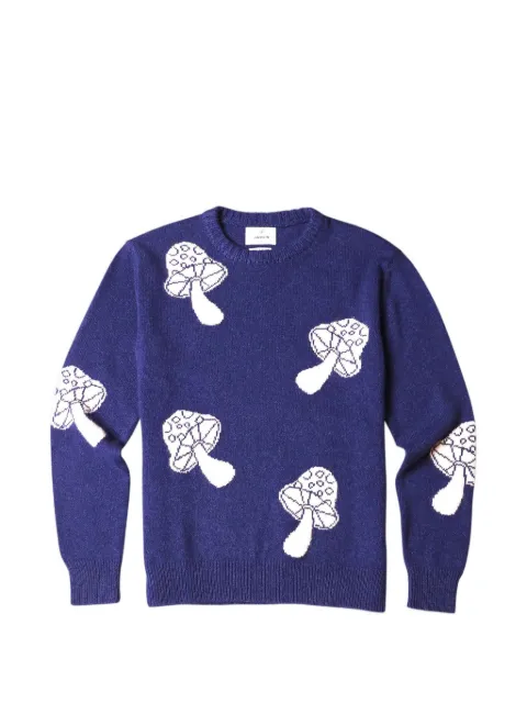 HARDEN mushroom-motif jumper Blue H59015