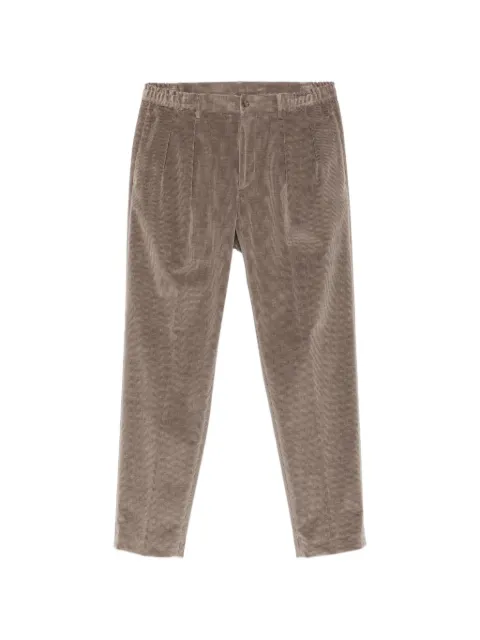 Tagliatore pleated corduroy trousers Brown PGORD24TGT020002V