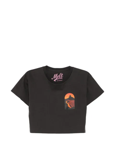 Melt graphic-print cropped T-shirt Grey MSWW5010