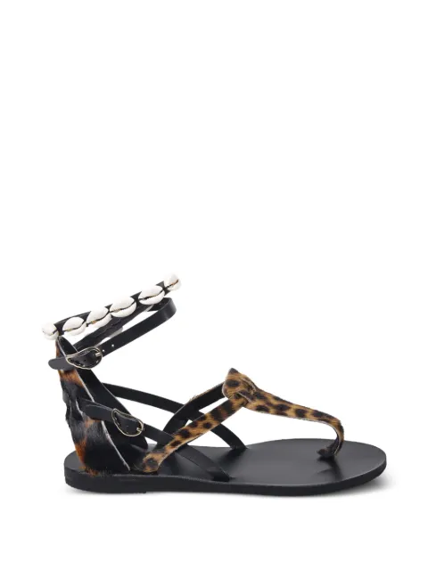 Ancient Greek Sandals Eudora shell-embellished sandals Black EUDORA