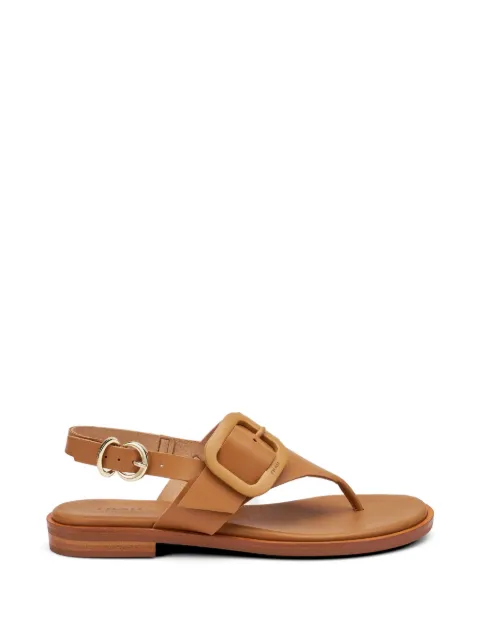 FRAU buckle-detail thong sandals Neutrals 85M5