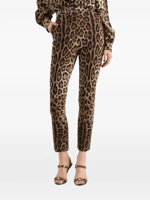 Dolce & Gabbana leo-print wool trousers Neutrals FTAM2TFSBAV