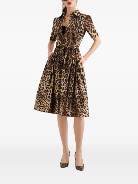 Dolce & Gabbana leo-print poplin shirt dress Neutrals F6AGMTHS5E3