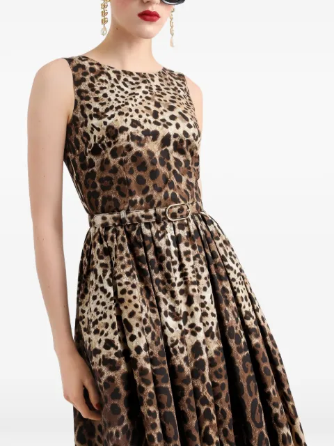 Dolce & Gabbana leo-print cotton poplin dress Neutrals F6AAATHS5E3