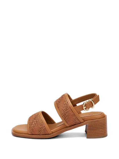 FRAU buckle-strap sandals Brown 93F1