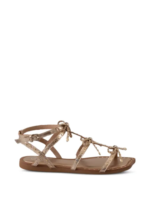 Ash Gladius sandals Gold GLADIUS