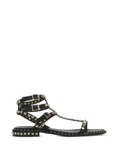 Ash Play sandals Black PLAYSBRASILBLACKARIELGOLD