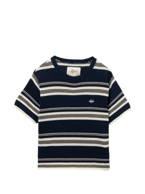 APEE™ by *A BATHING APE® striped T-shirt Blue 00CKNM202324L