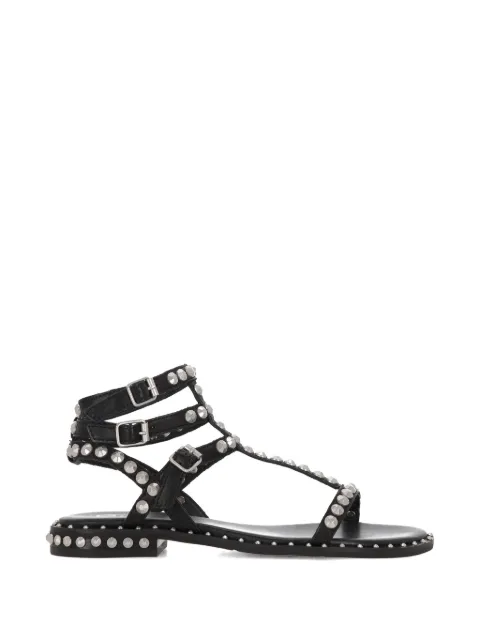 Ash Play buckle studded leather sandals Black PLAY01