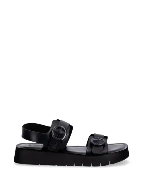 Fly London buckle-fastening leather sandals Black P145260000