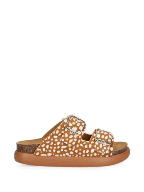 Scholl buckle-fastening animal-print slides Orange F012203916