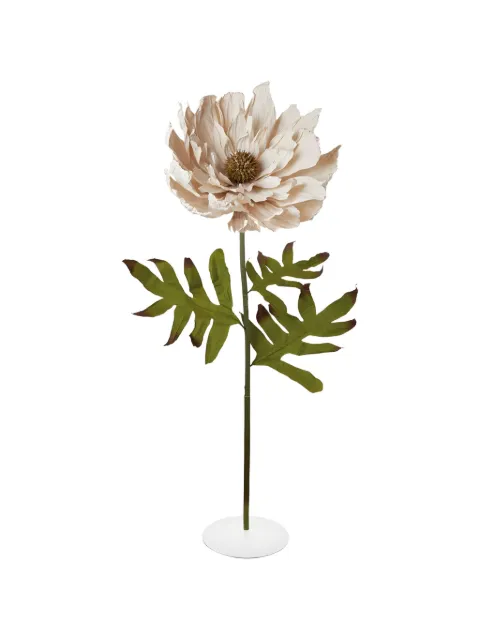 L'OCA NERA dahlia decorative flower Neutrals 0331P908